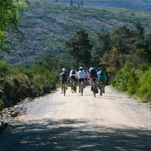 How is teamwork learned on a mountain bike trip?