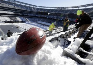 metlifesnow2